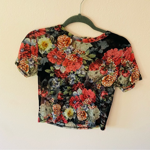 Lot Ginger G Cottagecore Romantic Sheer Floral Mesh Crop Tshirts - Picture 5 of 13